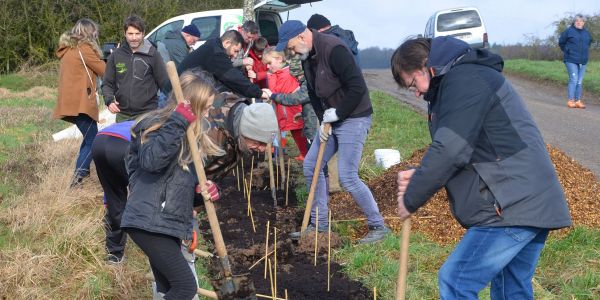 La Ville de Sarralbe s'engage pour la sauvegarde de l'environnement !