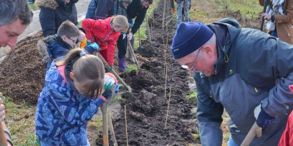 La Ville de Sarralbe s'engage pour la sauvegarde de l'environnement !