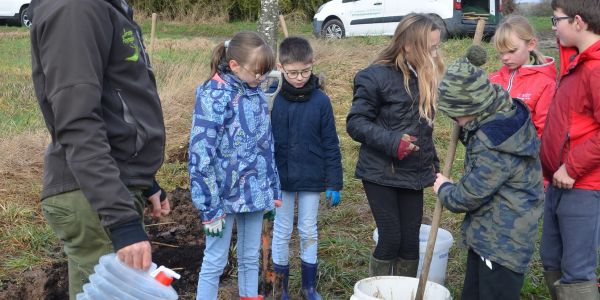 La Ville de Sarralbe s'engage pour la sauvegarde de l'environnement !