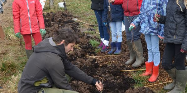 La Ville de Sarralbe s'engage pour la sauvegarde de l'environnement !