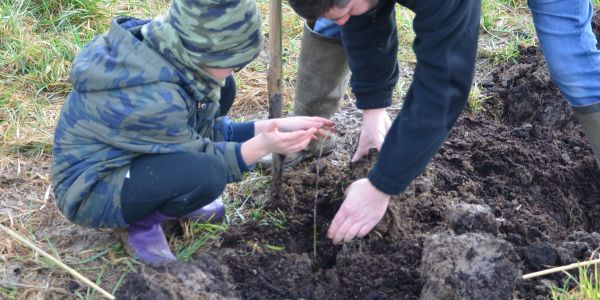 La Ville de Sarralbe s'engage pour la sauvegarde de l'environnement !
