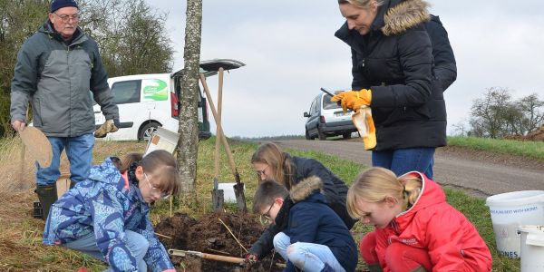 La Ville de Sarralbe s'engage pour la sauvegarde de l'environnement !