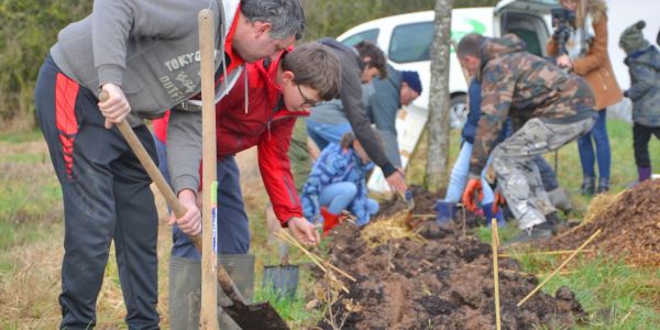 La Ville de Sarralbe s'engage pour la sauvegarde de l'environnement !