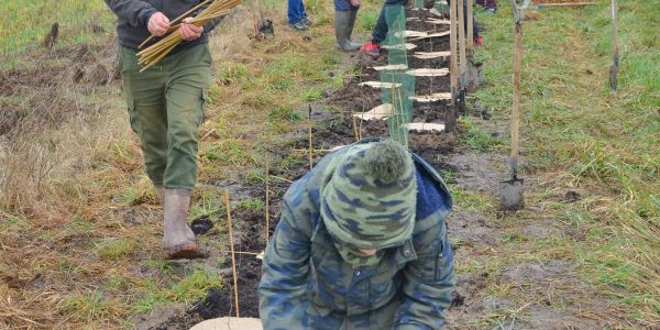 La Ville de Sarralbe s'engage pour la sauvegarde de l'environnement !