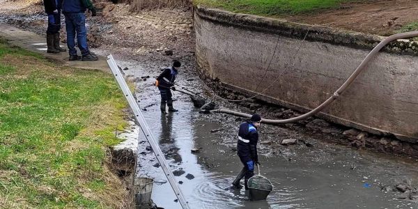 Opération de sauvetage de poissons en détresse...