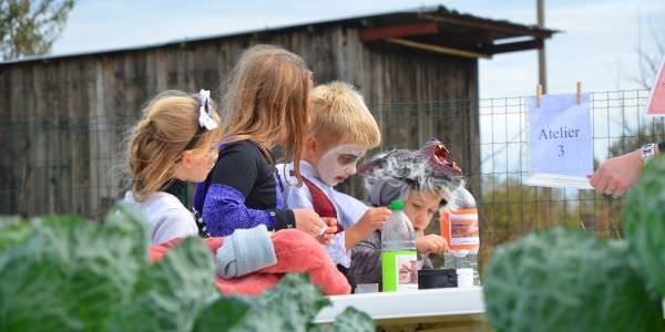 Les enfants à la rencontre de Ginette l'araignée