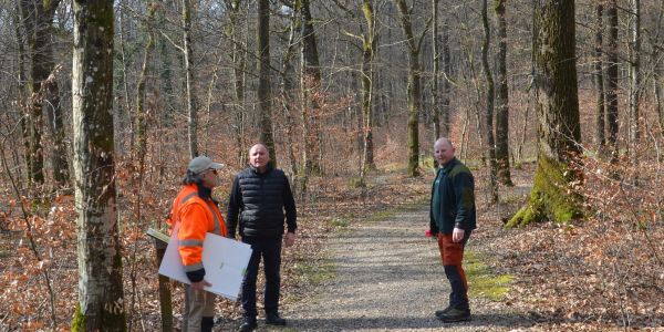 Nouvelle signalétique pour le sentier des Mardelles