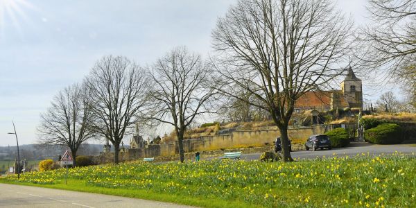 Narcisses de mars… l’ivresse d’un jardinier au fil de ses “déambulbations”