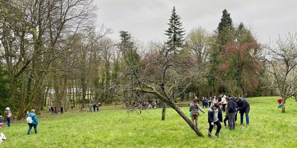 Chasse aux oeufs de Pâques 2024