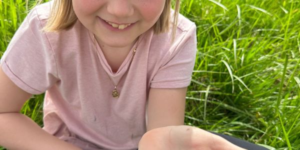 À la Découverte des Insectes : Une Aventure Pédagogique