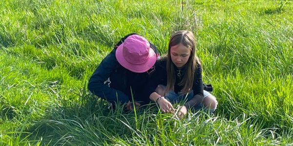 À la Découverte des Insectes : Une Aventure Pédagogique