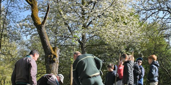 Semer l'Avenir : Les Enfants de Rech Plantent le Chemin vers la Nature