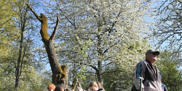 Semer l'Avenir : Les Enfants de Rech Plantent le Chemin vers la Nature