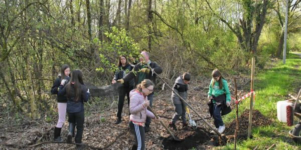 Semer l'Avenir : Les Enfants de Rech Plantent le Chemin vers la Nature