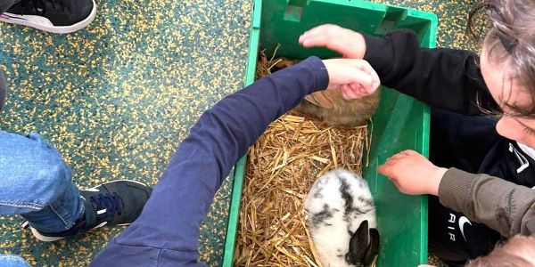 Mme la Poule et M. le Lapin en visite à l’école…