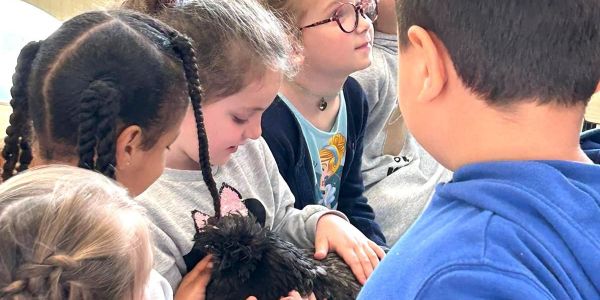 Mme la Poule et M. le Lapin en visite à l’école…