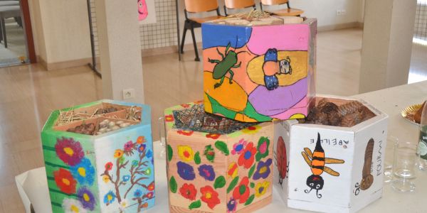 UNE ANNÉE AVEC LES INSECTES ET LES ENFANTS DE NOS ÉCOLES