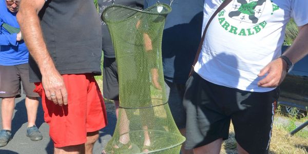 Concours de pêche de l'A.A.P.P.M.A Sarralbe