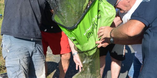 Concours de pêche de l'A.A.P.P.M.A Sarralbe