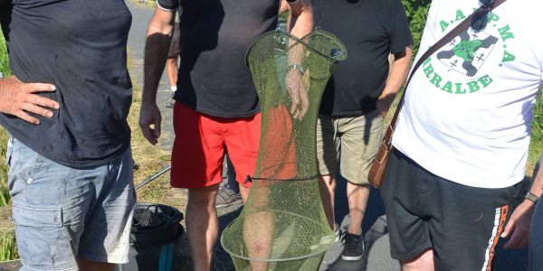 Concours de pêche de l'A.A.P.P.M.A Sarralbe