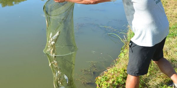 Concours de pêche de l'A.A.P.P.M.A Sarralbe