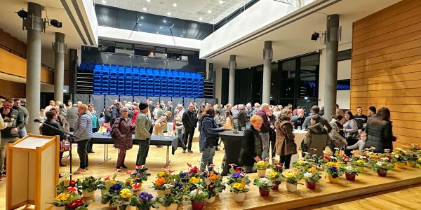 Soirée “Lumières de Noël”