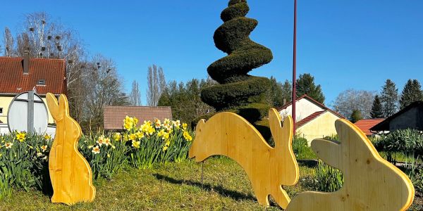 Le printemps s’invite à Sarralbe !