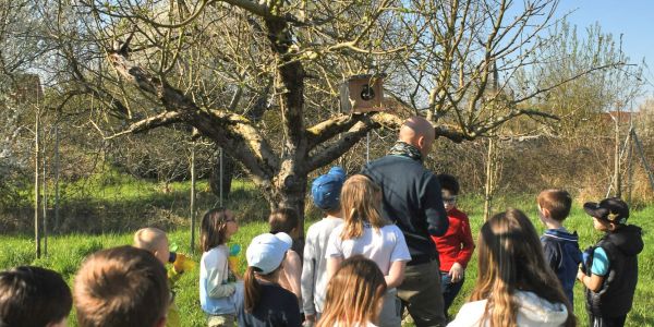 Une journée à l'école élémentaire de Rech avec la LPO