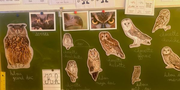 Une journée à l'école élémentaire de Rech avec la LPO