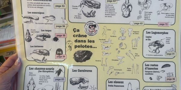 Une journée à l'école élémentaire de Rech avec la LPO