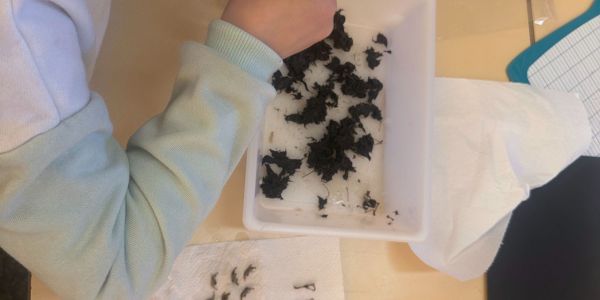 Une journée à l'école élémentaire de Rech avec la LPO