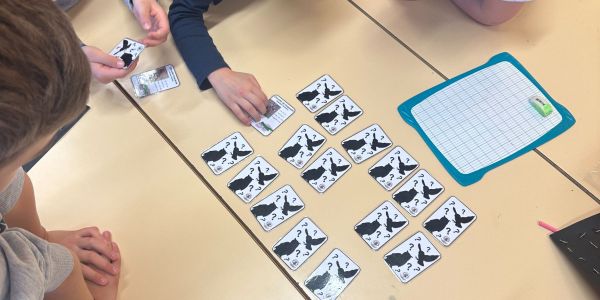 Une journée à l'école élémentaire de Rech avec la LPO