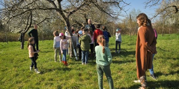 Une journée à l'école élémentaire de Rech avec la LPO