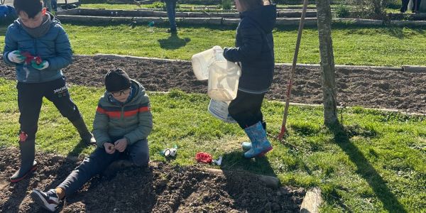 Les écoliers de Rech cultivent l’avenir au jardin partagé