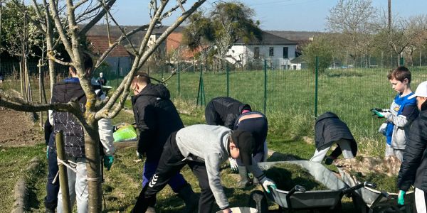 Les écoliers de Rech cultivent l’avenir au jardin partagé