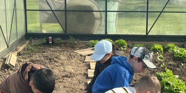 Les écoliers de Rech cultivent l’avenir au jardin partagé
