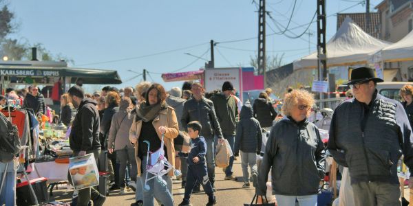 Les puces de Rech