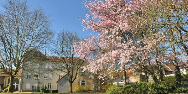 Sarralbe s'éveille sous les couleurs du printemps