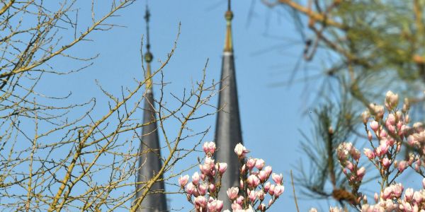 Sarralbe s'éveille sous les couleurs du printemps