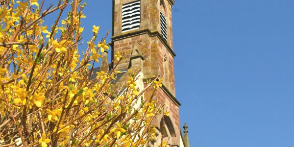 Sarralbe s'éveille sous les couleurs du printemps