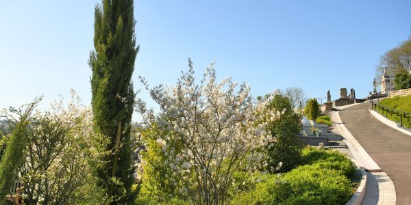 Sarralbe s'éveille sous les couleurs du printemps