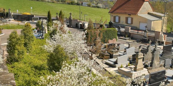 Sarralbe s'éveille sous les couleurs du printemps