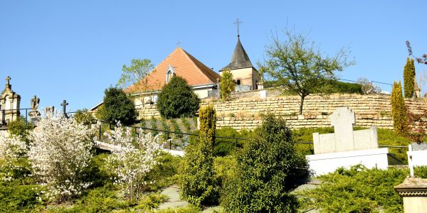 Sarralbe s'éveille sous les couleurs du printemps