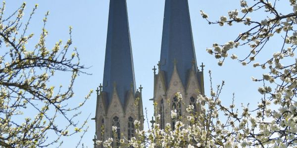 Sarralbe s'éveille sous les couleurs du printemps