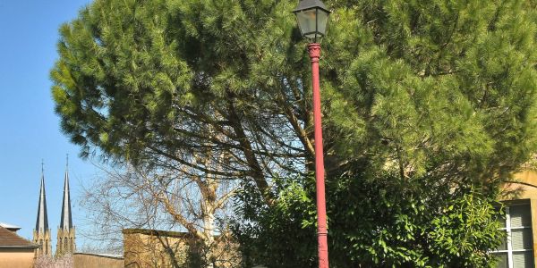 SARRALBE SE PARE DES COULEURS DU PRINTEMPS