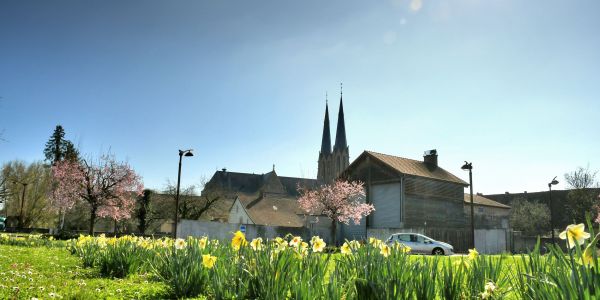 SARRALBE SE PARE DES COULEURS DU PRINTEMPS