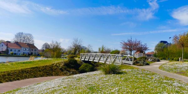 SARRALBE SE PARE DES COULEURS DU PRINTEMPS