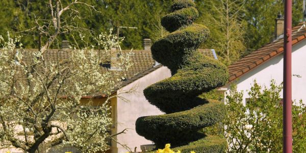 SARRALBE SE PARE DES COULEURS DU PRINTEMPS