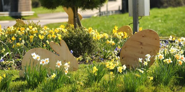 SARRALBE SE PARE DES COULEURS DU PRINTEMPS