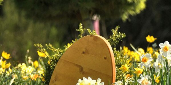 SARRALBE SE PARE DES COULEURS DU PRINTEMPS